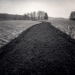 plowed_2014