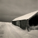 iceland_2011009