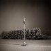 lamp_post_january_snow_1998