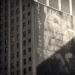 lion_shadow_1997