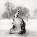 snow_dog_1996
