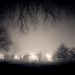 swing_elmdale_2012