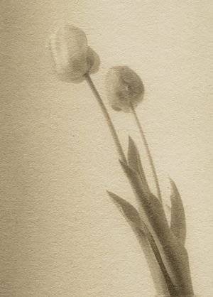 Alt Process Sampler with Bill Schwab - December 3-6, 2025