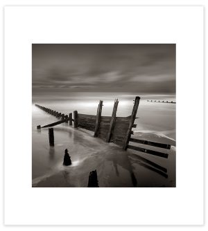 Limited Edition Prints